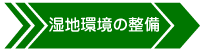 矢印:湿地環境の整備